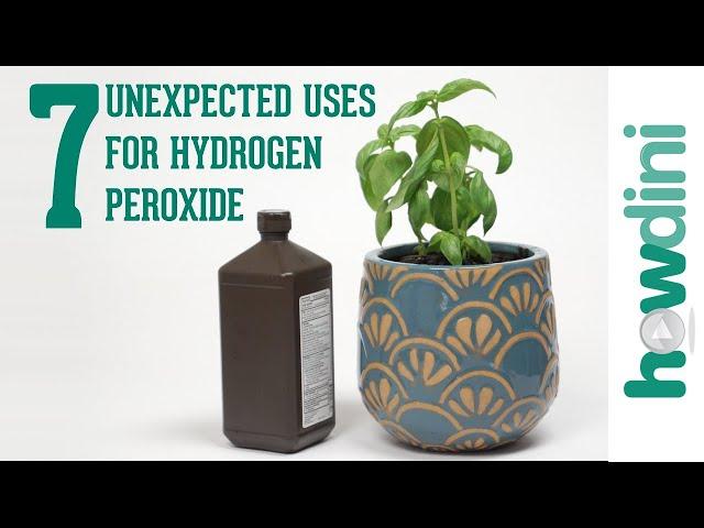 7 Unexpected Hydrogen Peroxide Uses | Howdini Hacks