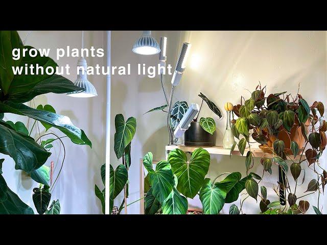 My houseplant grow lights and set up | no natural light