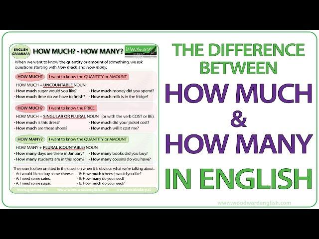 How much? How many? - English Grammar Lesson