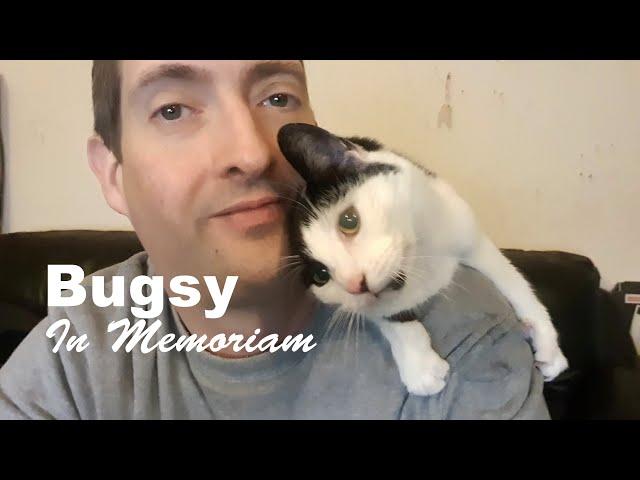 Bugsy - In Memoriam