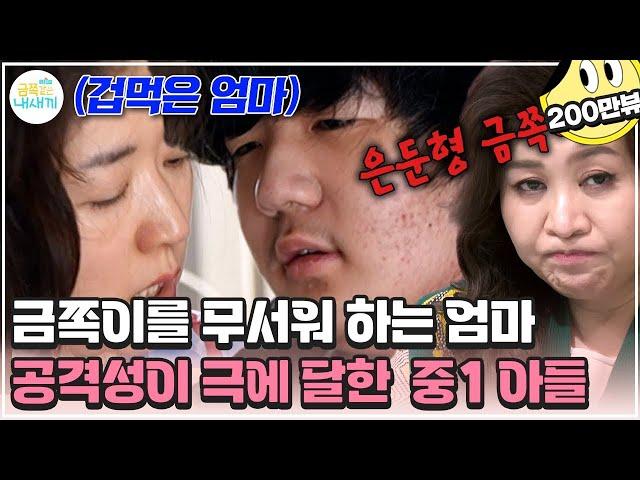 [#금쪽이] 엄마를 향한 무차별 공격! 은둔에 들어간 중1 금쪽이가 부모를 때린 이유는? | 금쪽같은 내새끼 222회