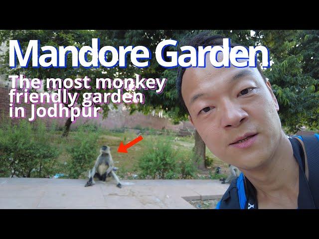 Mandore Garden - monkey paradise | Least popular tourist attraction in Jodhpur | Travel Vlog |