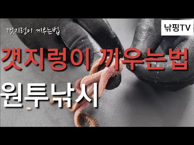 [ 갯지렁이 끼우는법 ] 오랫동안 살아있고 / 케스팅때 떨어지지않고 / 빠른입질을 받는 방법 / 원투낚시