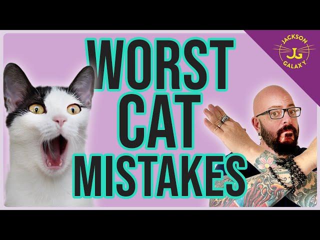 WORST Mistakes You Make with Your Cat