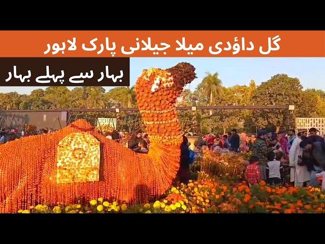 Flower Festival | Gul e Dawoodi Exhibition in Race Course park Lahore #aliyaanazlaandiscoveries