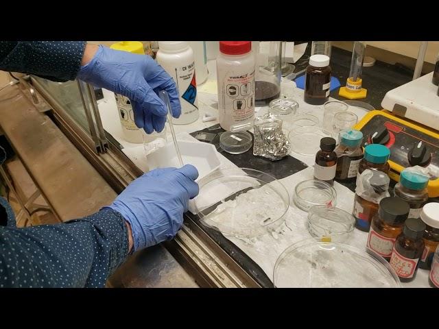 Making Pdms Part 3