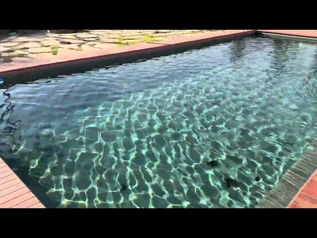 How to Price Pool Service