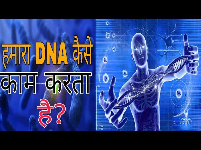 How does the DNA work ? [HINDI] - Knowledge Tv