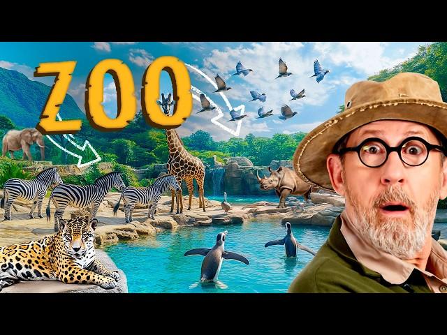 Are Zoos Good or Bad for Animals?