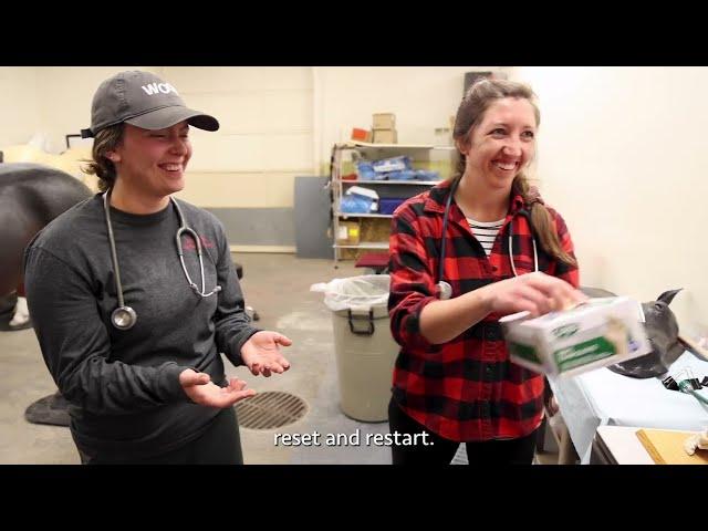 Biosecurity is not boring! Simulation-Based Education, WSU College of Veterinary Medicine