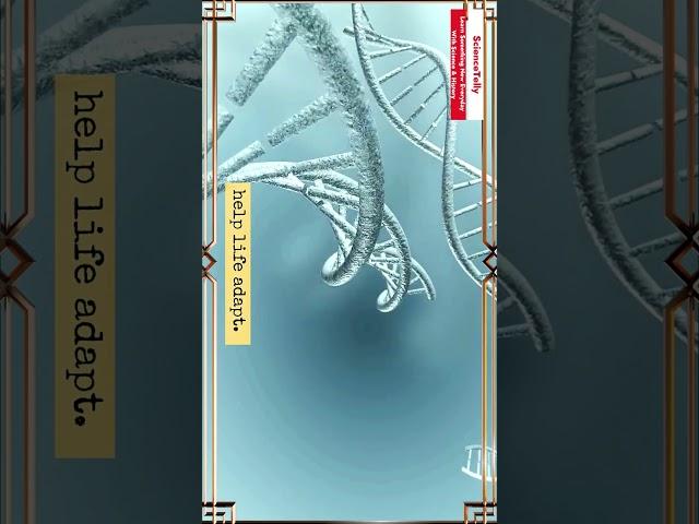 The Hidden Code of Life!  How Molecular Evolution Shapes Every Living Thing! | #MolecularEvolution