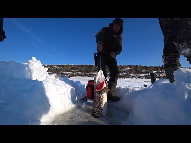 Уаааууу!!! ЩУКА КОТОРАЯ НЕ  ВЛЕЗАЕТ В ЛУНКУ! Якутия Yakutia