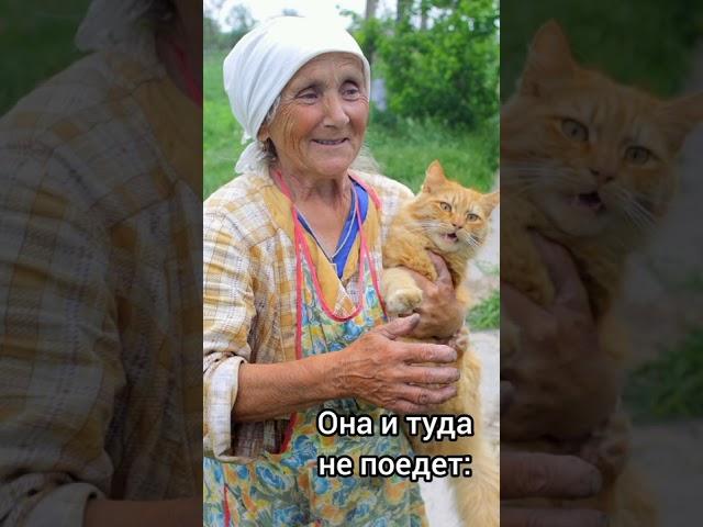 Ей не с кем оставить Кота! #shorts#грустныйстих#любимыекошки