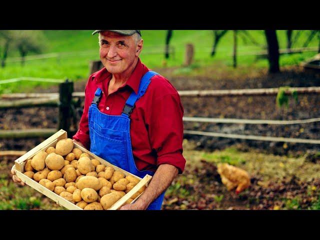 Новая философия и новые смыслы жизни Психолог Марина Линдхолм