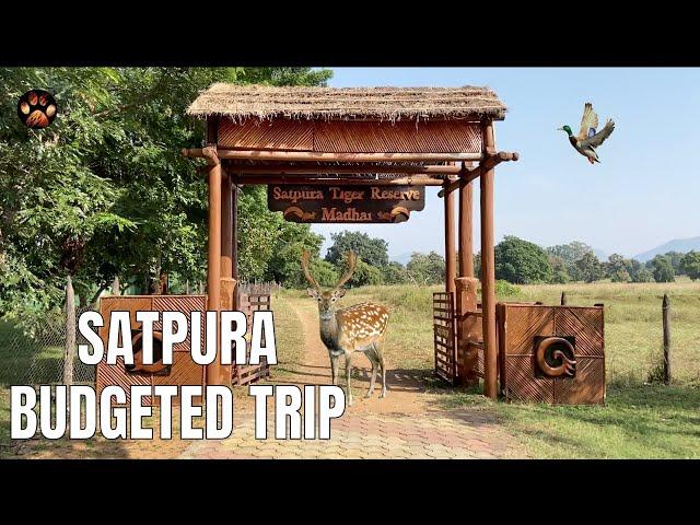 Budgeted Trip to Satpura Tiger Reserve | How to book, Safari Cost and Timings