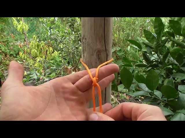 How To Tie A Tautline Hitch For Camping