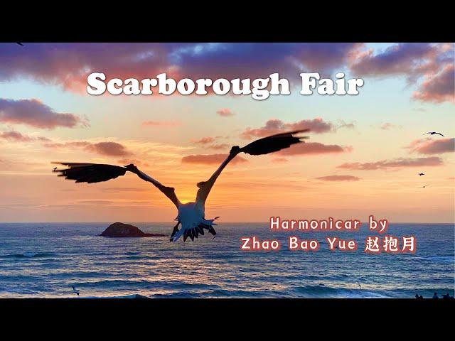 Scarborough Fair with the Blues Harmonica 用布鲁斯口琴吹奏 斯卡布罗集市