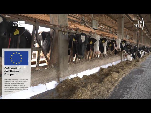 Agrinet: il futuro in campo 8/6/2024 - “Arborea: l’isola felice del latte”