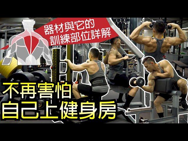 [Beginners' Guide] How to Use Gym Equipment (Covering Full Body!) │ Muscle Guy TW │2019ep51