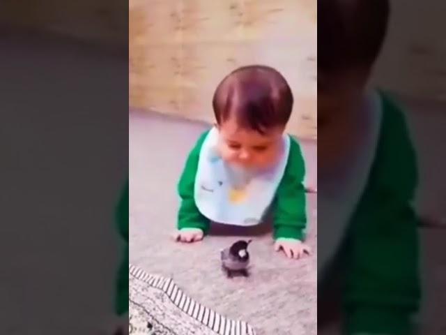 baby fun , #viral #shortsvideo #baby #babyshorts