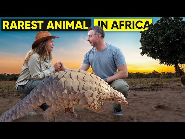 Finding the Rarest Animal in Africa