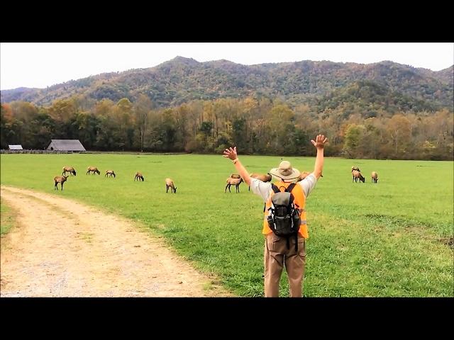 Great Smoky Mtns National Park: Oconaluftee River Trail & Elk