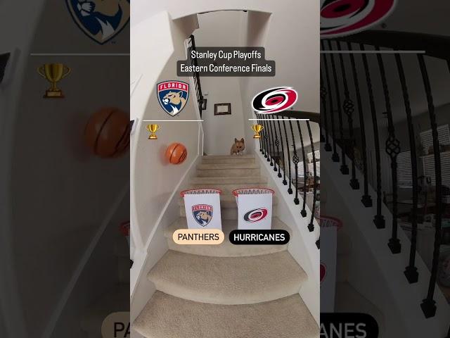 Puppy playoff predictions for the Eastern Conference Final 