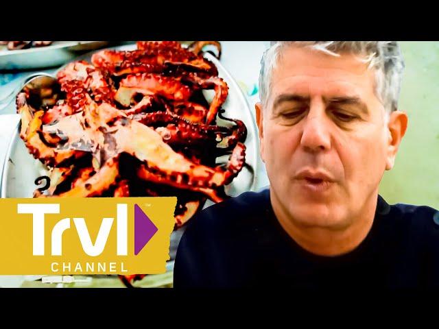 Squid Hunting on the Lisbon Coast | Anthony Bourdain: No Reservations | Travel Channel