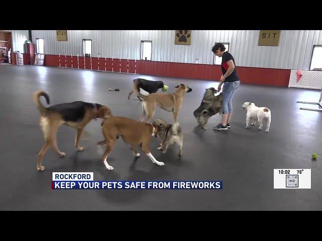 Rockford animal experts advise against bringing pets to see fireworks