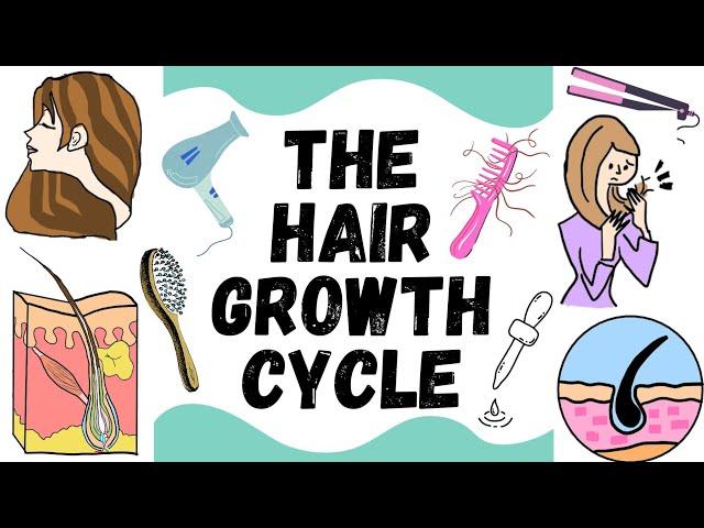 Hair Growth Cycle | Anagen, Catagen, Telogen, Exogen | Skin | Hair | Dermatology