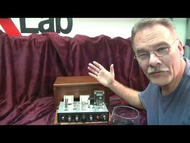 D-Lab electronics  flagship Tube Guitar amp Head Fender Princeton sound