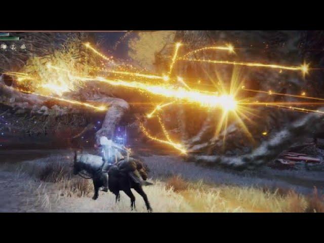 Elden Ring Elden Stars Vs Decaying Ekzykes NG+2