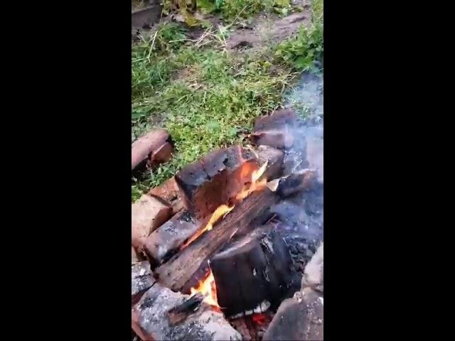 Городская Деревенщина в прямом эфире!