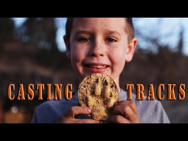 Casting Animal Tracks with Kids - family outdoor activities