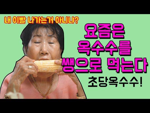 GRANDMA EATS RAW CORN? (Super-sweet corn) [Korea Grandma]