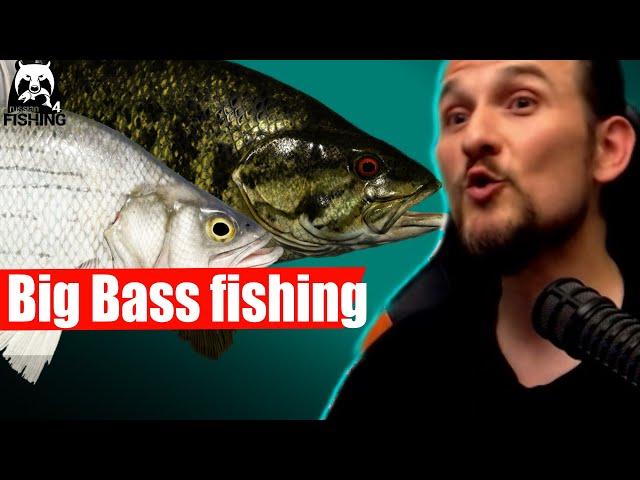 Russian Fishing 4 - Elk Lake - White Bass and Smallmouth Bass Spot