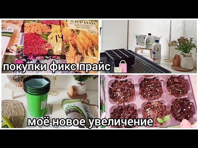 ПОКУПКИ ФИКС ПРАЙС  МОЁ НОВОЕ ПОЛЕЗНОЕ УВЕЛИЧЕНИЕ 