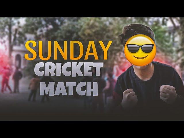 Sunday cricket match100 subs complete | Hunny vlogs