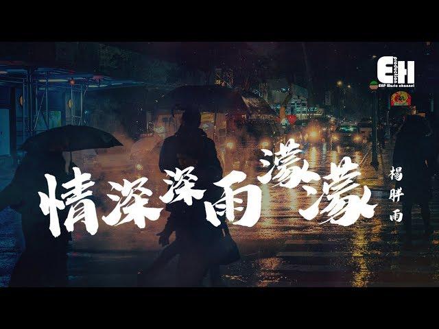 楊胖雨 - 情深深雨濛濛『世界只在你眼中，相逢不問為何匆匆。』【動態歌詞Lyrics】