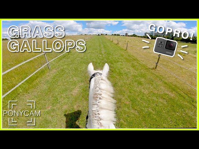 Canter around the fields with me || GoPro