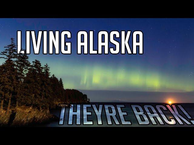 The NORTHERN LIGHTS Have Returned!! (Living Alaska 022)