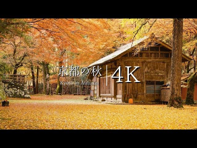 [Top 10 Autumn Leaves in Ayabe] Scenic Spots in Kyoto You Must Visit Before You Die - Kyoto in 4K