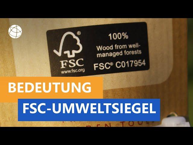 Was bedeutet das FSC-Umweltsiegel?  - Frage trifft Antwort | Planet Schule