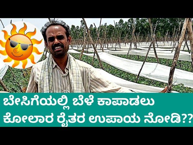 Use of Shade net during hot Summer in KOLAR