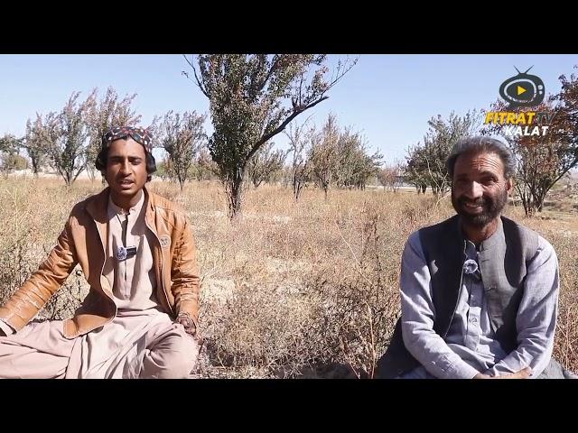 Brahui sng by yungsingar/bravi#brahui#baloch#