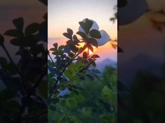 Напоминайте себе почаще, что цель жизни вовсе не в том, чтобы выполнить все намеченное...