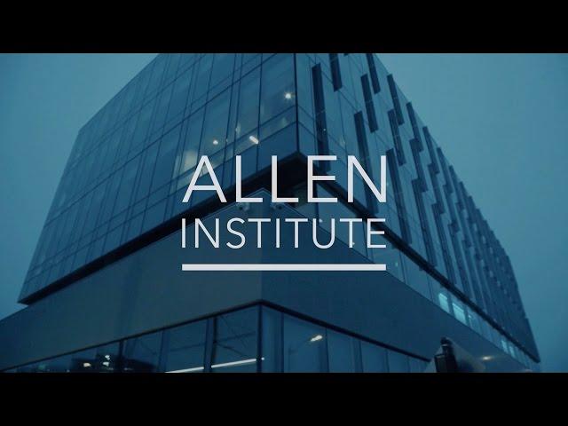 Allen Institute: In Motion