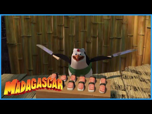 DreamWorks Madagascar | Best Of The Penguins | Madagascar Movie Cli