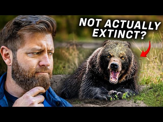 5 Extinct Animals That I Believe Could Still Be Alive...