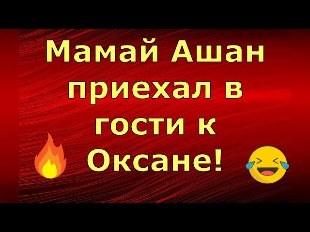 Новый день / Лена LIFE / Мамай Ашан приехал в гости к Оксане! / Обзор влогов